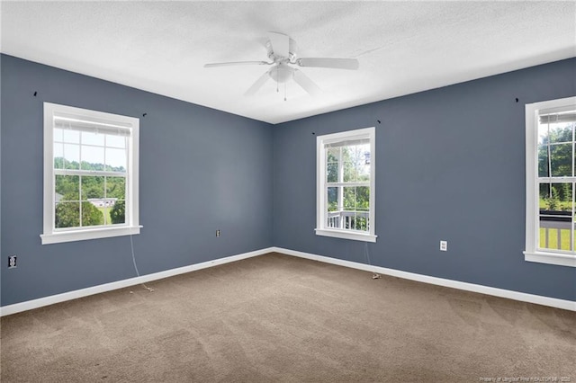 1862 NC-87 S, Cameron, NC 28326 - photo 19