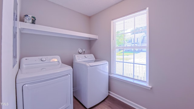 4928 Silverdene St, Raleigh, NC 27616 - photo 16