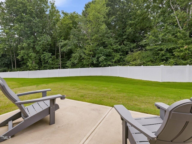 100 Haddonfield Ct, Franklinton, NC 27525 - photo 25