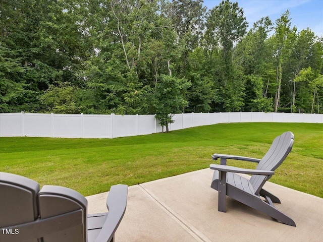 100 Haddonfield Ct, Franklinton, NC 27525 - photo 26