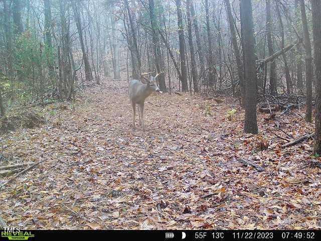 2845 Moores Mill Rd, Rougemont, NC 27572