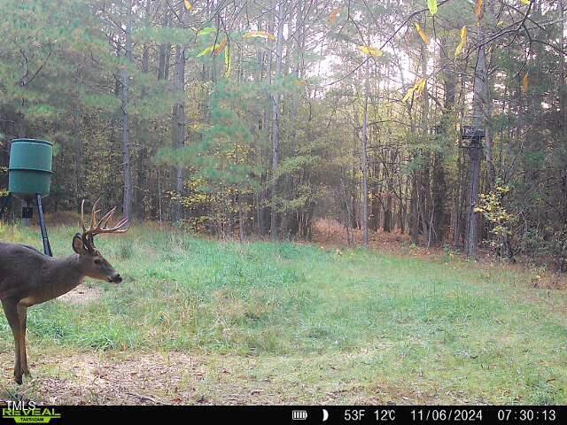 2845 Moores Mill Rd, Rougemont, NC 27572