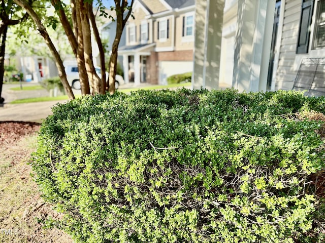 1121 Brookhill Way, Cary, NC 27519 - view of yard featuring a residential view