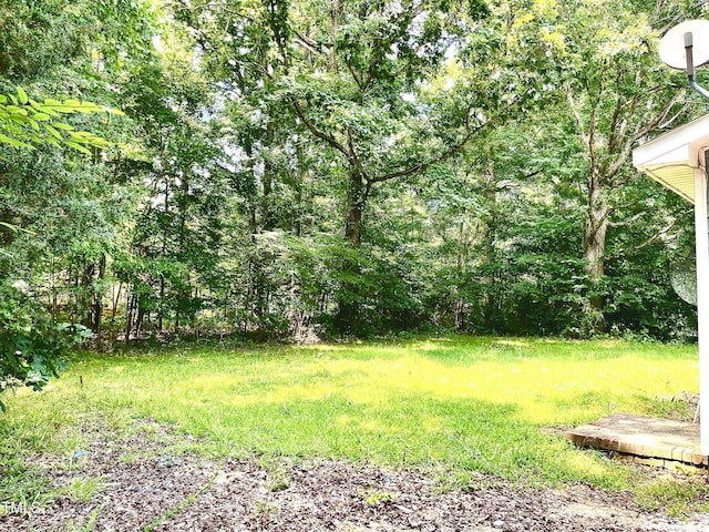 525 Locust Rd, Hillsborough, NC 27278 - photo 14