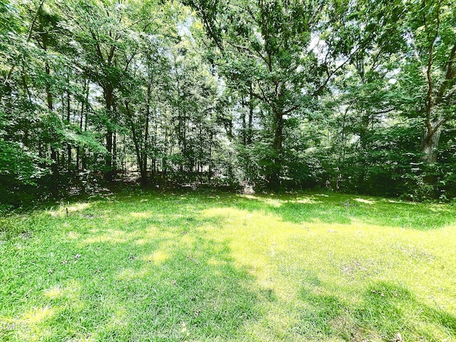 525 Locust Rd, Hillsborough, NC 27278 - photo 16