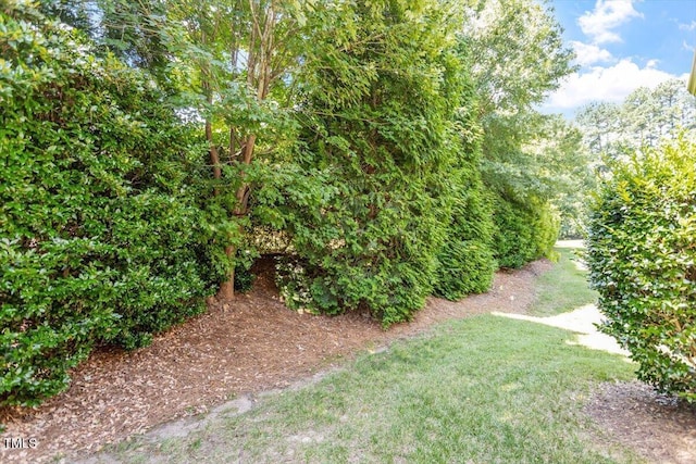 3147 Rapid Falls Rd, Cary, NC 27519 - photo 6