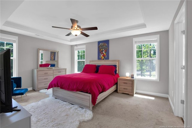 208 Walker Downs Cir, Fayetteville, NC 28305 - bedroom featuring a tray ceiling, multiple windows, and carpet floors