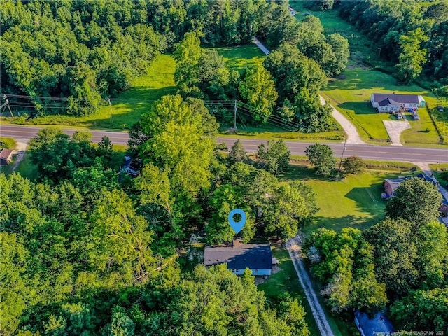 40 Ella Bell Rd, Clarkton, NC 28433 - drone / aerial view