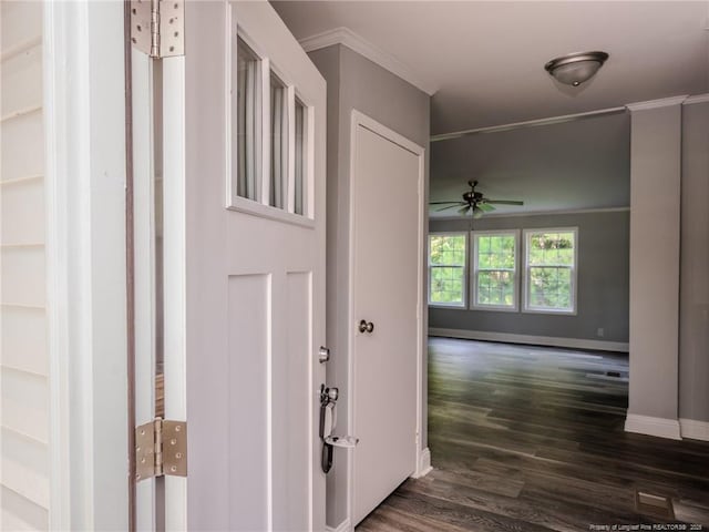 40 Ella Bell Rd, Clarkton, NC 28433 - hall featuring dark wood-type flooring and ornamental molding