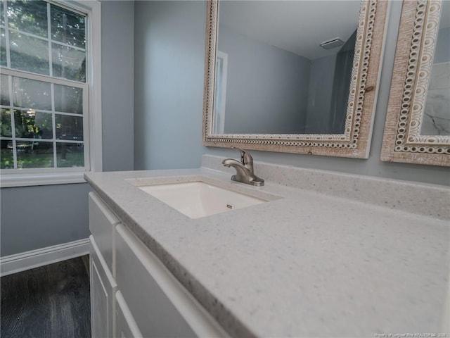 40 Ella Bell Rd, Clarkton, NC 28433 - bathroom with vanity and wood finished floors