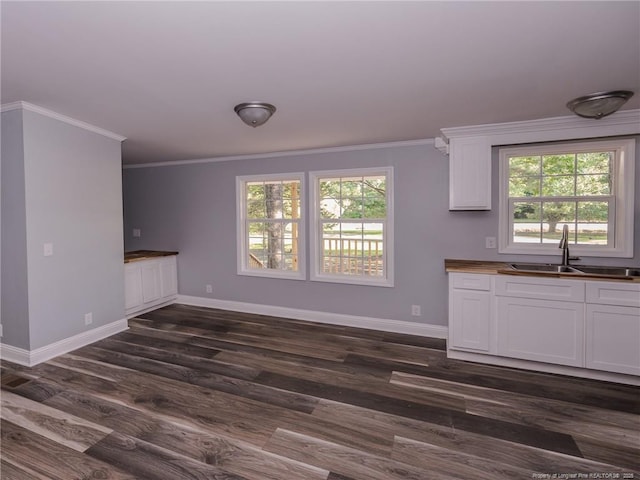 40 Ella Bell Rd, Clarkton, NC 28433 - unfurnished living room featuring plenty of natural light, crown molding, and dark wood-style flooring