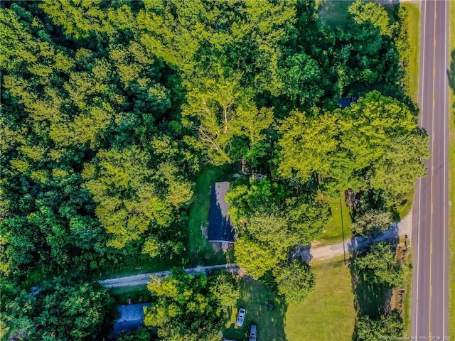 40 Ella Bell Rd, Clarkton, NC 28433 - aerial view