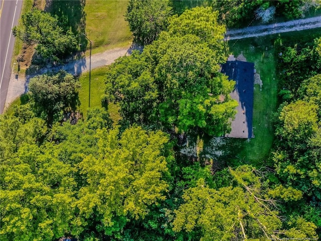 40 Ella Bell Rd, Clarkton, NC 28433 - aerial view