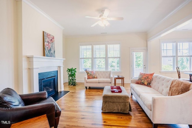 41 Highveld Ave, Chapel Hill, NC 27516
