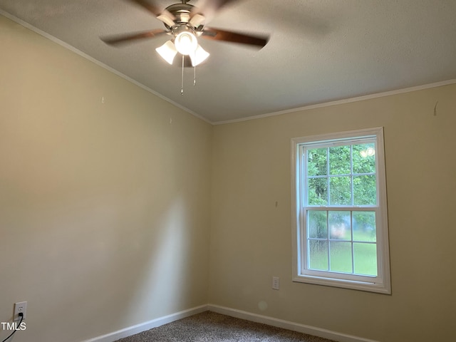51 Cinnamon Ln, Erwin, NC 28339 - photo 14