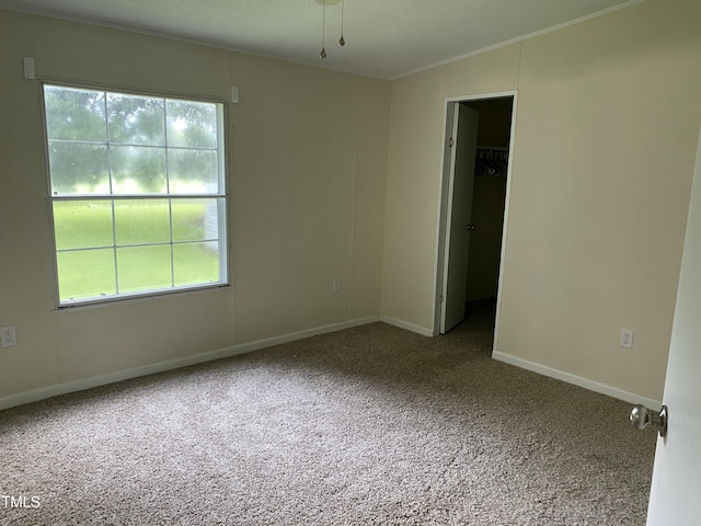 51 Cinnamon Ln, Erwin, NC 28339 - photo 15