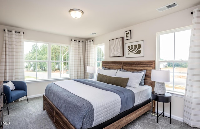 288 Fosterton Cottage Way, Raleigh, NC 27603 - bedroom featuring carpet floors and multiple windows