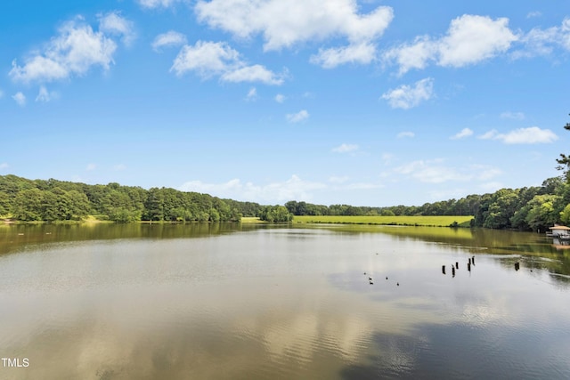 6608 Quiet Cove Ct, Raleigh, NC 27612 - water view with a heavily wooded area