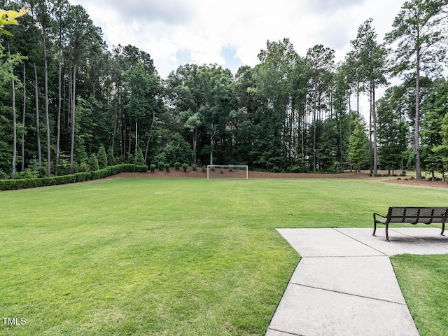 3441 Jordan Shires Dr, New Hill, NC 27562 - view of yard featuring an area for sports