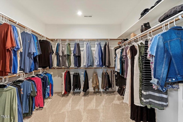 223 Chauncey Cir, Chapel Hill, NC 27516 - walk in closet with carpet flooring