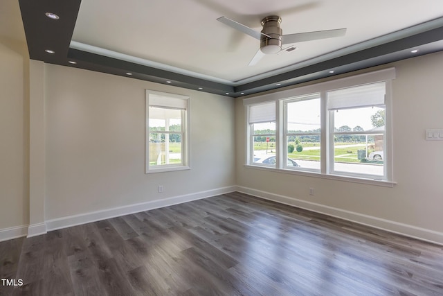 400 Minchew St SE, Wilson, NC 27893 - unfurnished room featuring a raised ceiling, a ceiling fan, and wood finished floors