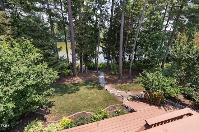 8106 Sommerwell St, Raleigh, NC 27613 - photo 52