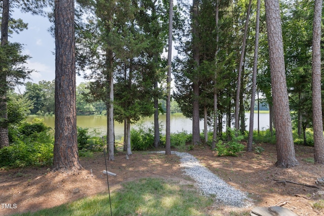 8106 Sommerwell St, Raleigh, NC 27613 - photo 54