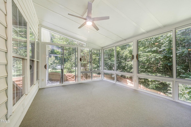 2613 Sweet Gum Dr, Hillsborough, NC 27278 - photo 28