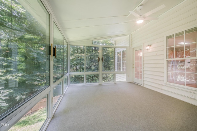 2613 Sweet Gum Dr, Hillsborough, NC 27278 - photo 36