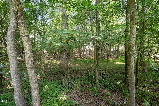 2613 Sweet Gum Dr, Hillsborough, NC 27278 - photo 41