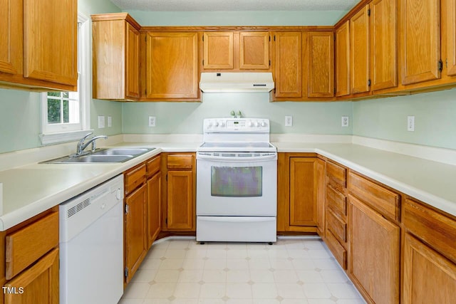 2425 Fields Of Broadlands Dr, Raleigh, NC 27604 - photo 11