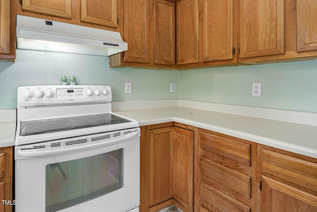 2425 Fields Of Broadlands Dr, Raleigh, NC 27604 - photo 13