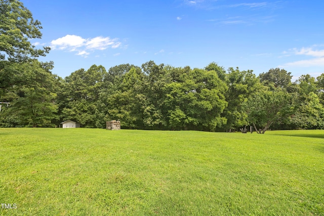 1105 Fontaine Rd, Roxboro, NC 27574 - view of grassy yard featuring a storage unit and a wooded view