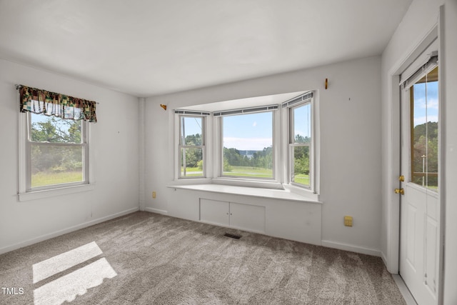 1105 Fontaine Rd, Roxboro, NC 27574 - empty room with carpet flooring
