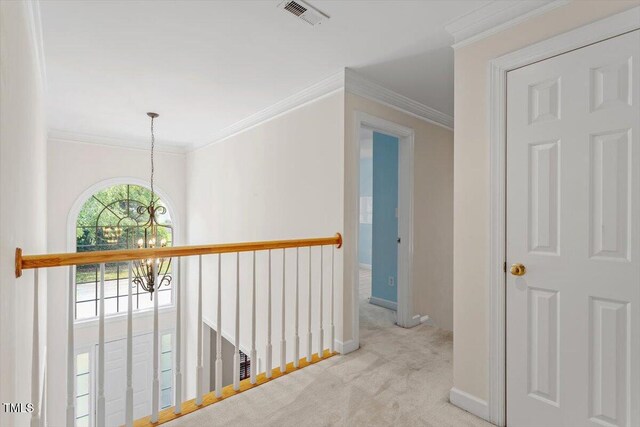 3812 Covina Dr, Raleigh, NC 27613 - photo 22