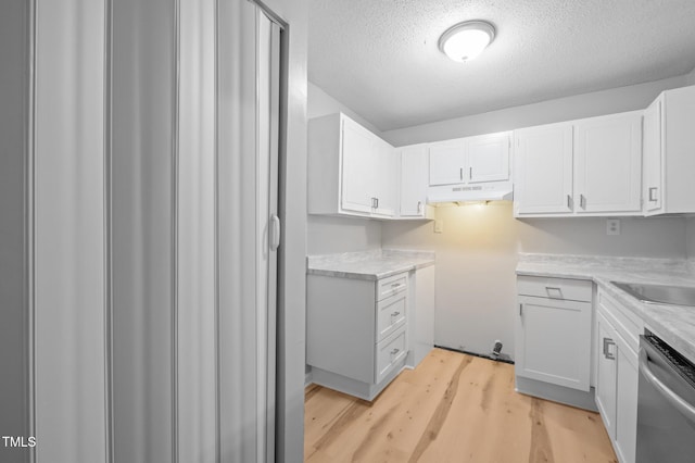 500 Umstead Dr Unit 103E, Chapel Hill, NC 27516 - kitchen featuring stainless steel dishwasher, under cabinet range hood, light wood-style floors, a textured ceiling, and light countertops