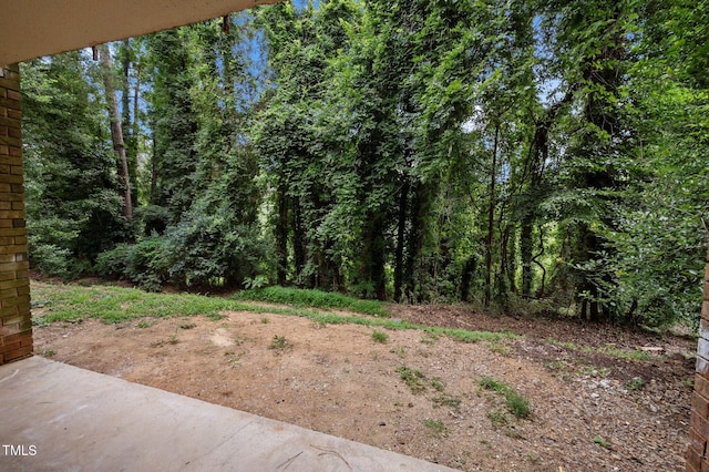 500 Umstead Dr Unit 103E, Chapel Hill, NC 27516 - view of yard