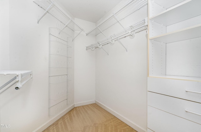 4060 Barton Park Pl, Raleigh, NC 27613 - walk in closet featuring light carpet