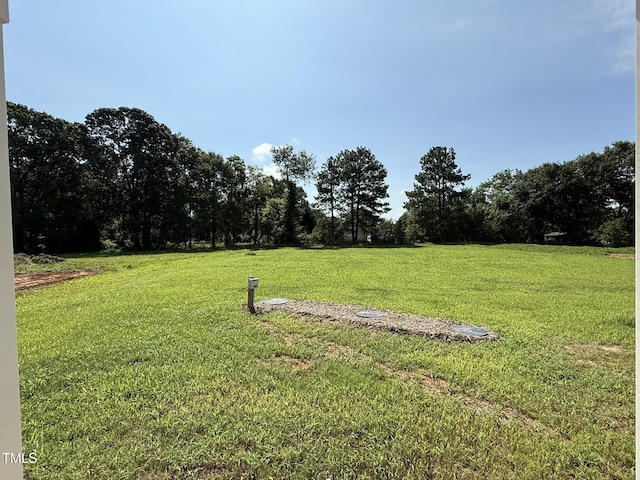 180 Hot Springs Way, Benson, NC 27504 - photo 26