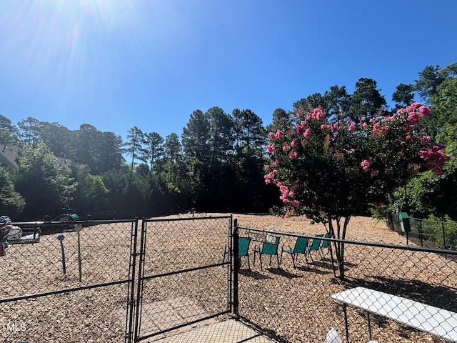 112 Salmon River Dr, Durham, NC 27705 - view of yard with a gate and a dog friendly area