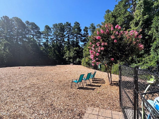 112 Salmon River Dr, Durham, NC 27705 - view of yard