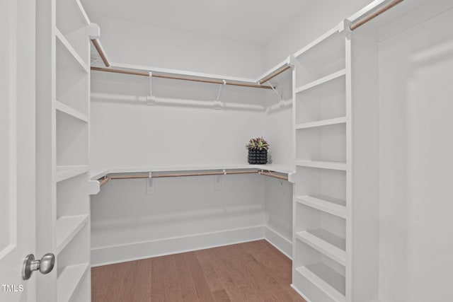 116 Pointe Park Cir, Holly Springs, NC 27540 - walk in closet with wood finished floors