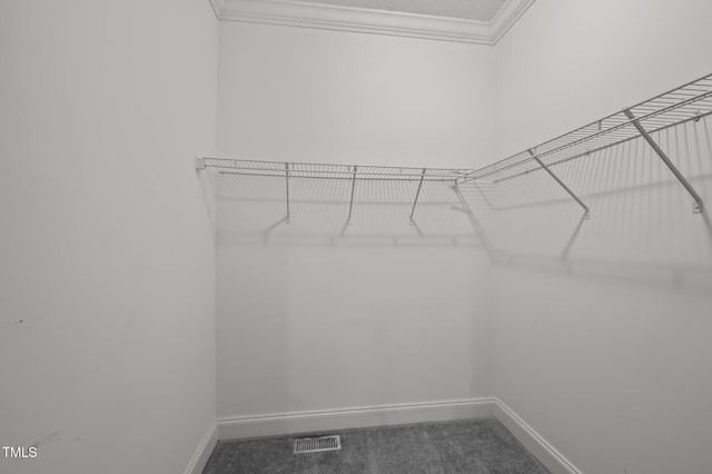 116 Justice St, Chapel Hill, NC 27516 - spacious closet with carpet floors