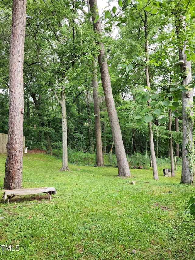 1106 Fargo St, Durham, NC 27707 - view of green lawn
