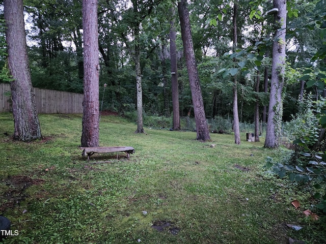 1106 Fargo St, Durham, NC 27707 - view of yard