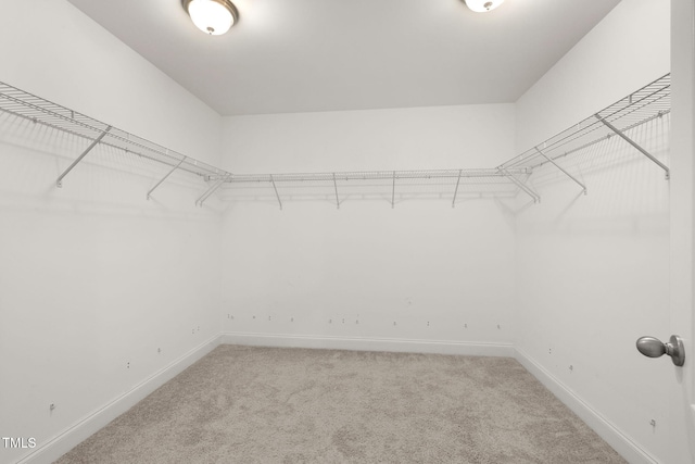 3401 Grosbeak Way, Raleigh, NC 27616 - walk in closet featuring light colored carpet