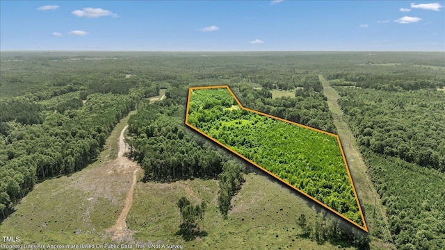 1235 Burchette Rd, Manson, NC 27553 - photo 42