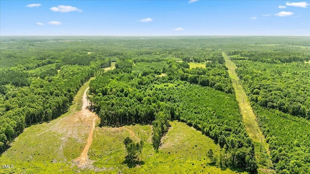 1235 Burchette Rd, Manson, NC 27553 - photo 43