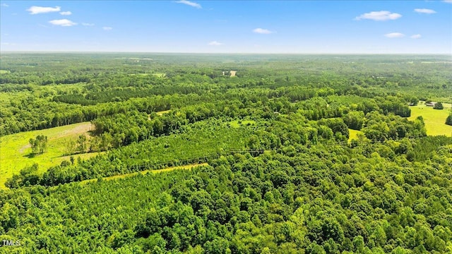 1235 Burchette Rd, Manson, NC 27553 - photo 44