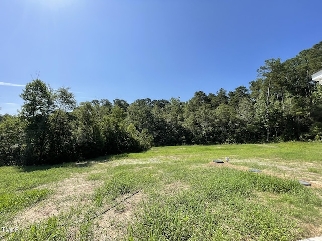 782 Sherrill Farm Dr, Benson, NC 27504 - photo 13